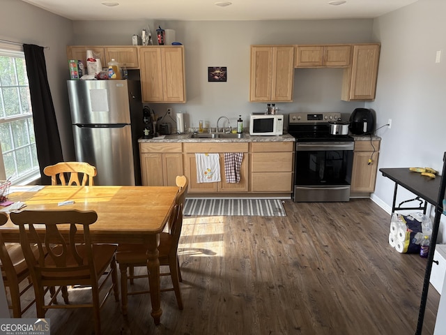 kitchen featuring stainless steel appliances, light brown cabinetry, and a sink