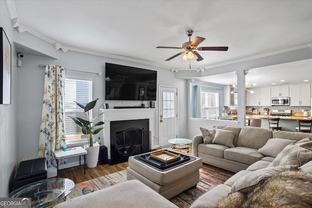 living area with a ceiling fan, crown molding, wood finished floors, and a fireplace
