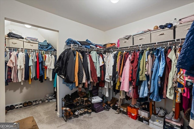 walk in closet with carpet flooring