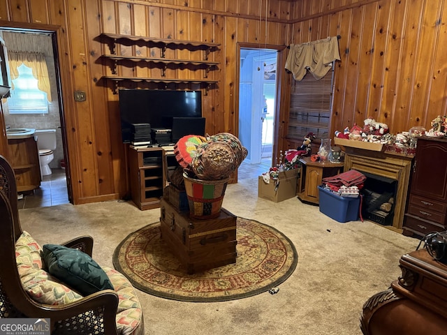 living area with carpet flooring and wooden walls