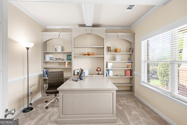 2694 Dawning Day Dr, Dacula, GA 30019 - office featuring a healthy amount of sunlight, ornamental molding, light carpet, and visible vents