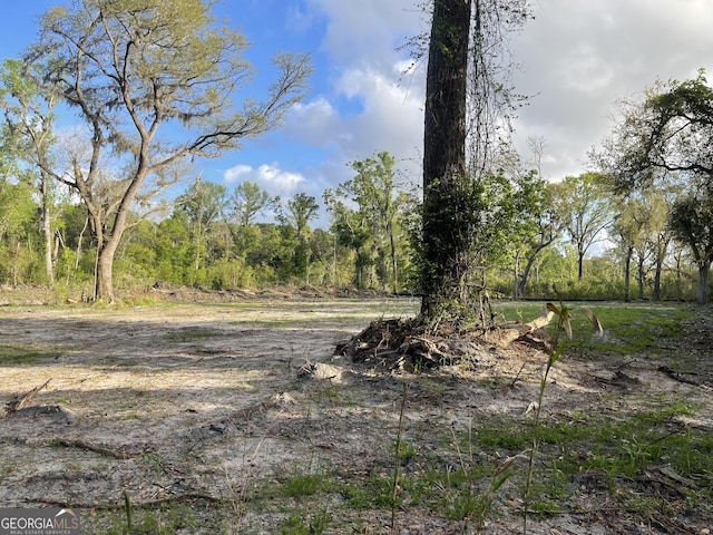 0 Pine Barren Rd, Pooler, GA 31322
