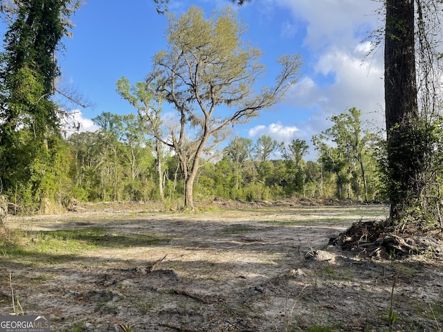 0 Pine Barren Rd, Pooler, GA 31322
