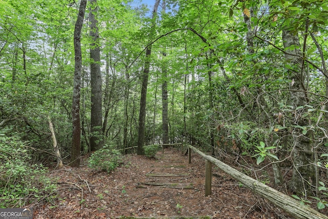 80 Lake Forest Ct, Lakemont, GA 30552 - view of woods
