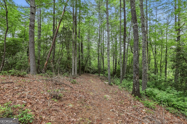 80 Lake Forest Ct, Lakemont, GA 30552 - view of woods