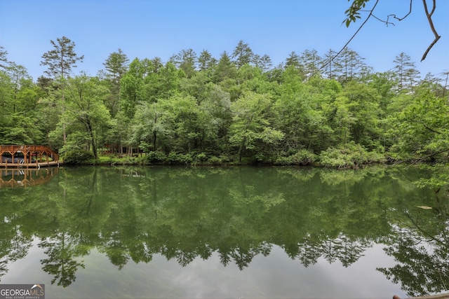 80 Lake Forest Ct, Lakemont, GA 30552 - water view featuring a forest