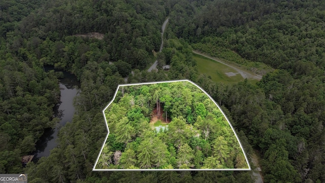 80 Lake Forest Ct, Lakemont, GA 30552 - aerial overview of property's location featuring a heavily wooded area, property parcel outlined, and a large body of water