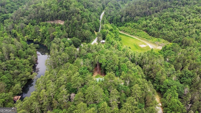 80 Lake Forest Ct, Lakemont, GA 30552 - view of property location featuring a forest and a large body of water