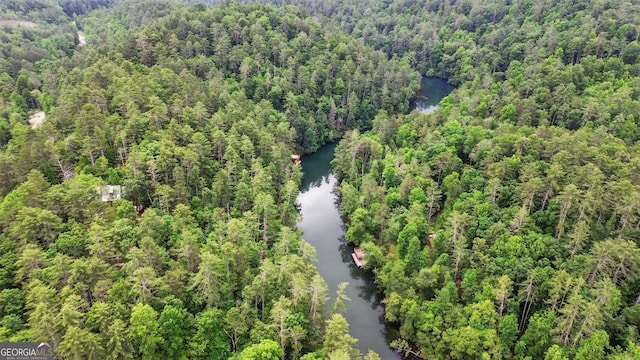 80 Lake Forest Ct, Lakemont, GA 30552 - view of property location featuring a large body of water and a forest