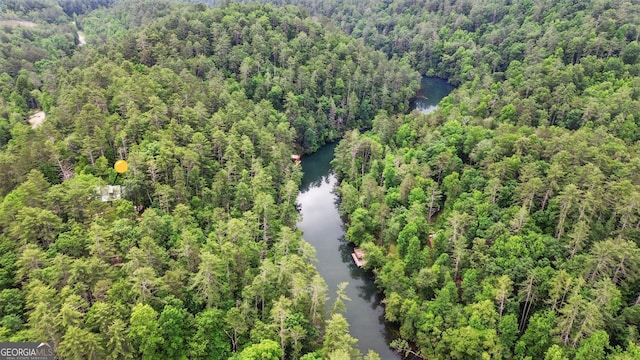 80 Lake Forest Ct, Lakemont, GA 30552 - view of property location featuring a large body of water and a heavily wooded area