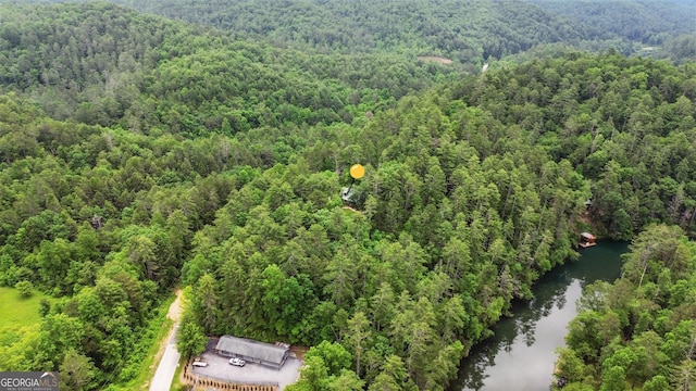 80 Lake Forest Ct, Lakemont, GA 30552 - aerial view of a forest and a large body of water