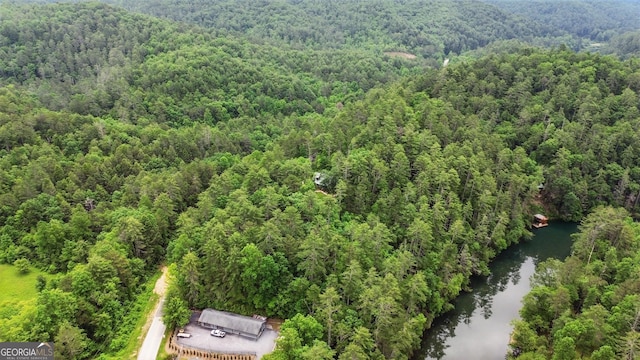 80 Lake Forest Ct, Lakemont, GA 30552 - aerial view of a forest and a large body of water