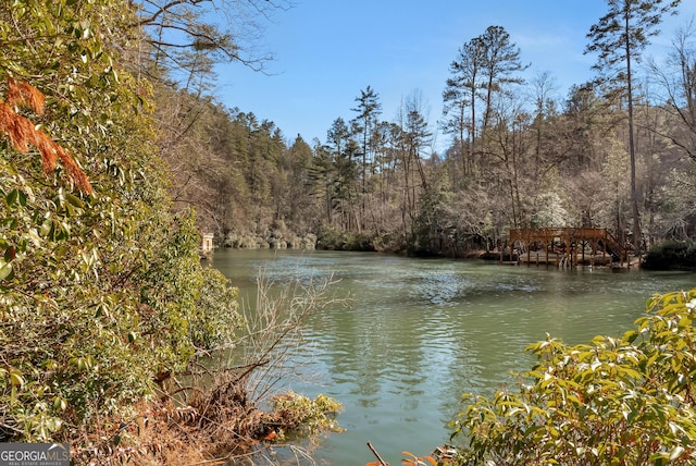 80 Lake Forest Ct, Lakemont, GA 30552 - water view featuring a forest