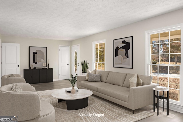 2694 Hickory Valley Dr, Snellville, GA 30078 - living room with a textured ceiling and a wealth of natural light