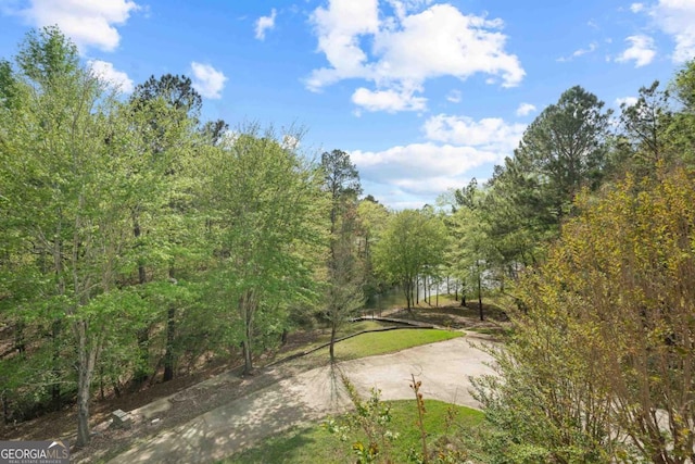 1081 Katherine Ln, Greensboro, GA 30642 - view of home's community featuring a view of trees
