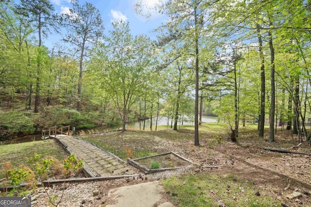 1081 Katherine Ln, Greensboro, GA 30642 - view of yard with a water view