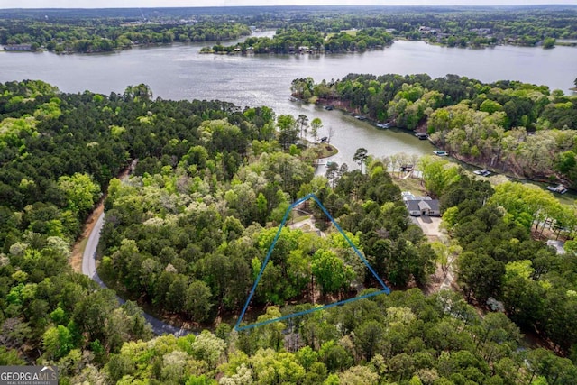 1081 Katherine Ln, Greensboro, GA 30642 - birds eye view of property with a view of trees and a water view