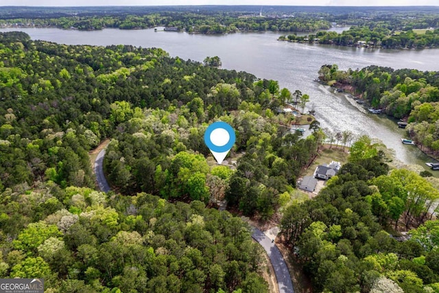 1081 Katherine Ln, Greensboro, GA 30642 - drone / aerial view with a water view and a view of trees