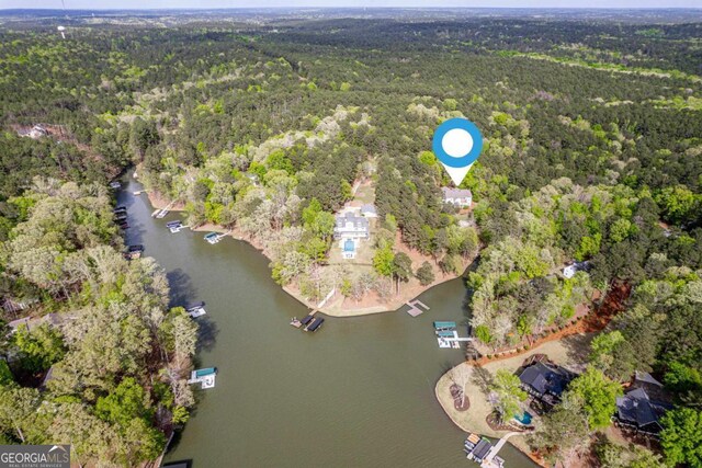 1081 Katherine Ln, Greensboro, GA 30642 - bird's eye view with a wooded view and a water view