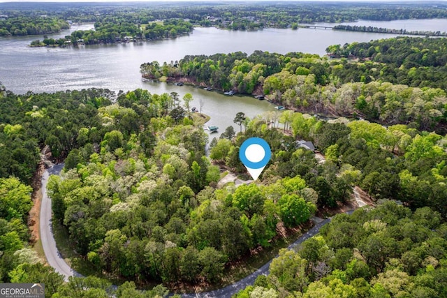 1081 Katherine Ln, Greensboro, GA 30642 - birds eye view of property with a water view and a forest view