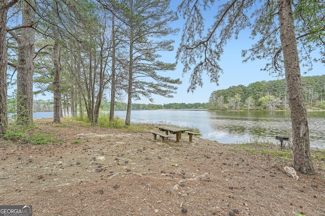 property view of water with a wooded view
