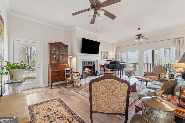 8012 Beachwood Dr, Murrayville, GA 30564 - living area featuring light wood-type flooring, ceiling fan, ornamental molding, and a warm lit fireplace