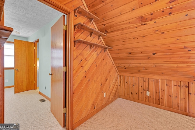 374 W Sugarbush Dr, Sky Valley, GA 30537 - additional living space with carpet floors, a textured ceiling, visible vents, and wood walls