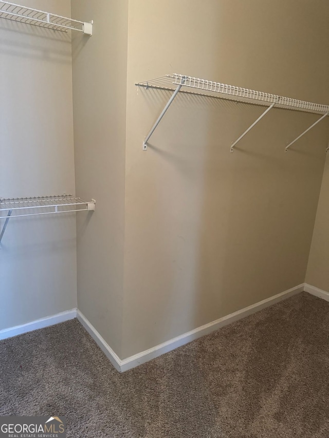 spacious closet with carpet floors