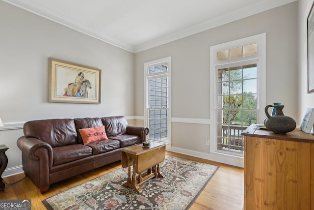 living area with crown molding, light wood finished floors, and plenty of natural light