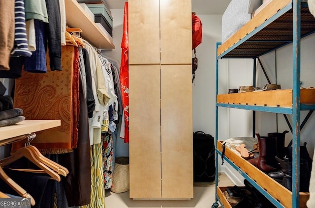 587 Virginia Ave NE Unit 314, Atlanta, GA 30306 - view of spacious closet