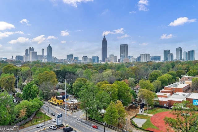 587 Virginia Ave NE Unit 314, Atlanta, GA 30306 - property's view of city