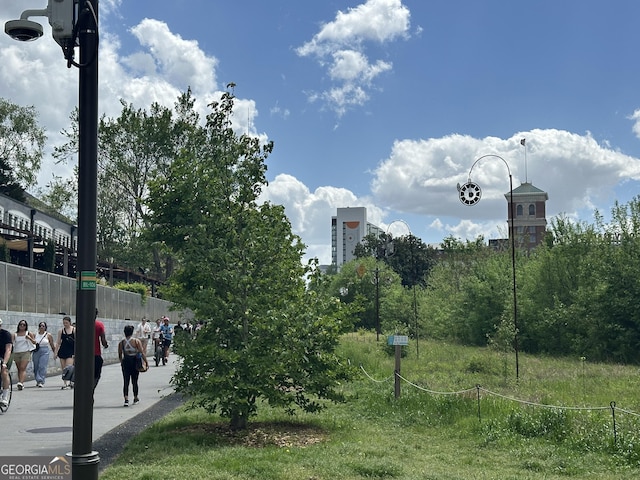 587 Virginia Ave NE Unit 314, Atlanta, GA 30306 - view of community