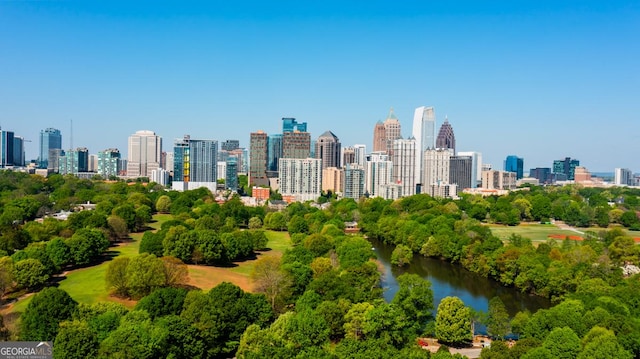 587 Virginia Ave NE Unit 314, Atlanta, GA 30306 - city view