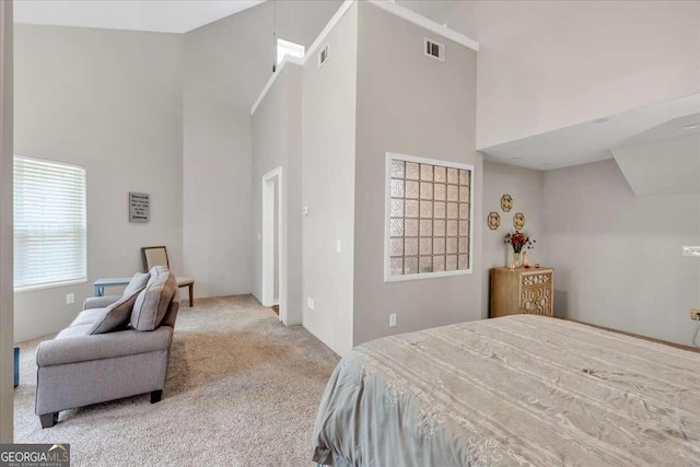 3800 Macland Rd, Hiram, GA 30141 - bedroom with a towering ceiling and carpet flooring