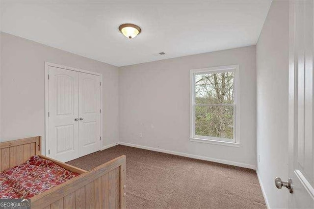 822 Pine Way, Dallas, GA 30157 - bedroom with carpet and a closet