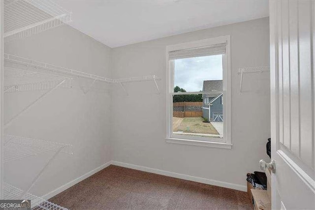 822 Pine Way, Dallas, GA 30157 - spacious closet featuring carpet