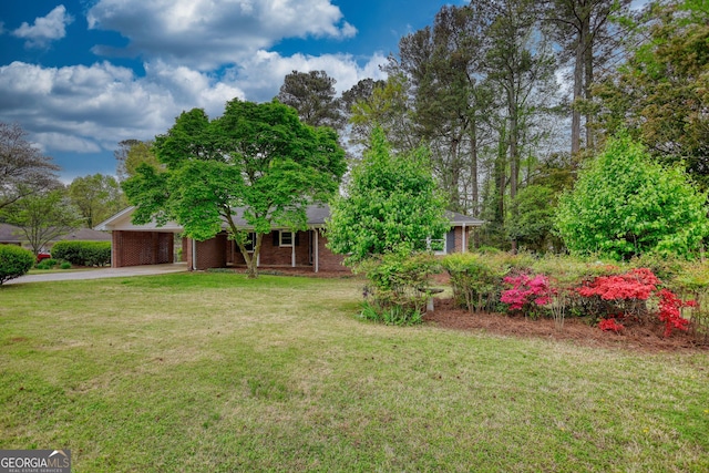 view of front of house featuring concrete driveway, a carport, brick siding, and a front lawn