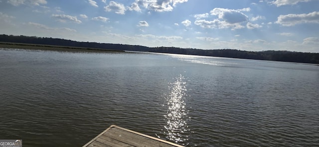 86 S Chattahoochee Dr, Hogansville, GA 30230 - water view featuring a dock