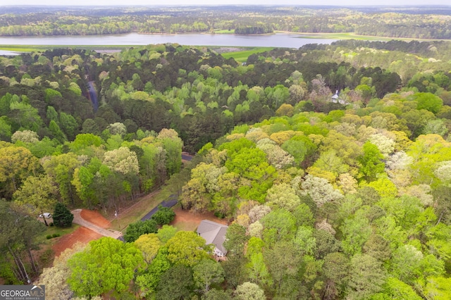 86 S Chattahoochee Dr, Hogansville, GA 30230 - aerial view of a nearby body of water and a heavily wooded area