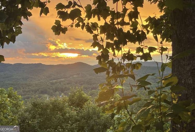 7 Lakeview Dr, Hayesville, NC 28904 - view of mountain feature