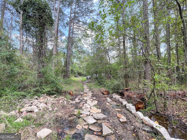 view of nature with a wooded view