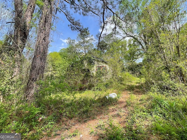 view of local wilderness featuring a wooded view