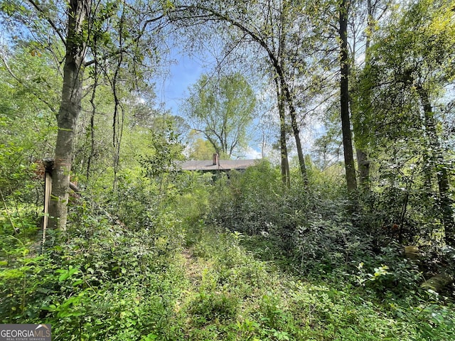 view of nature featuring a view of trees