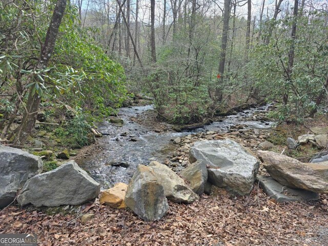 1467 Creek Rd, Hiawassee, GA 30546 - view of tree filled area