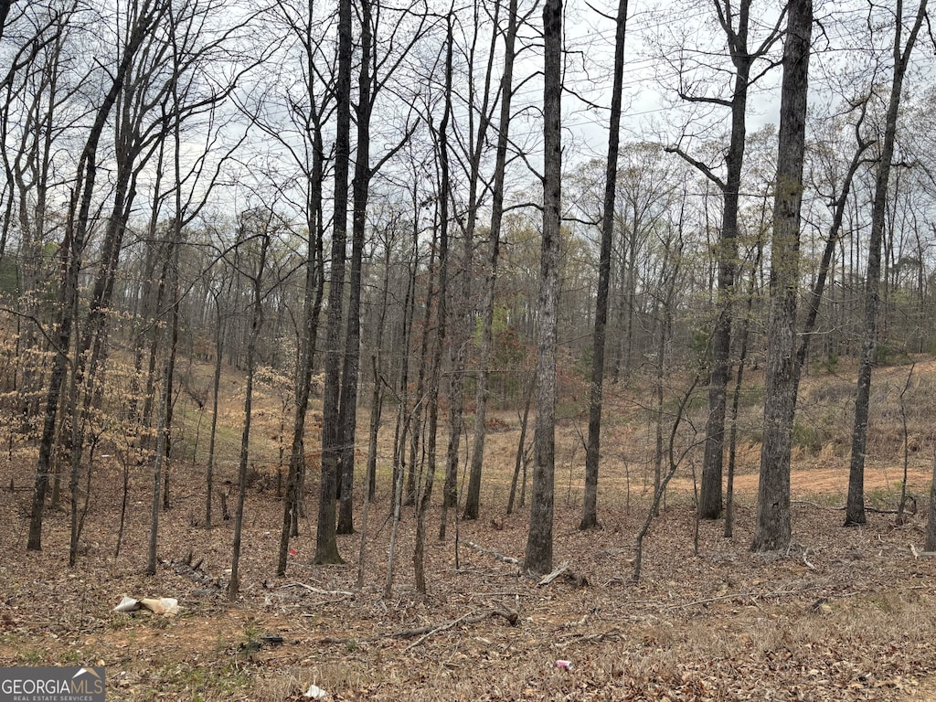 0 Summer Lake Rd, Lithia Springs, GA 30122