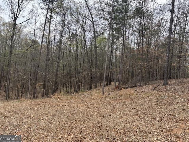 0 Summer Lake Rd, Lithia Springs, GA 30122