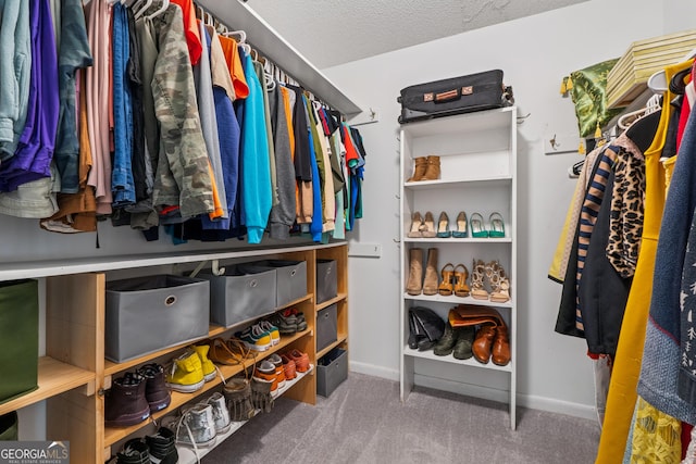 spacious closet with carpet floors