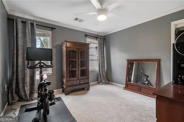 295 Sagamore Cv NW, Sugar Hill, GA 30518 - workout area featuring carpet, ceiling fan, crown molding, and baseboards