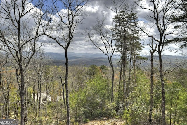 768 Cherokee Cir, Ellijay, GA 30540 - exterior space featuring a view of trees
