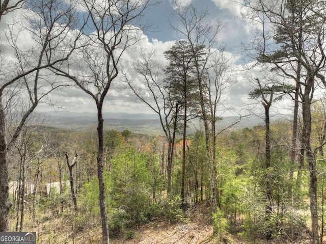 768 Cherokee Cir, Ellijay, GA 30540 - view of nature featuring a view of trees